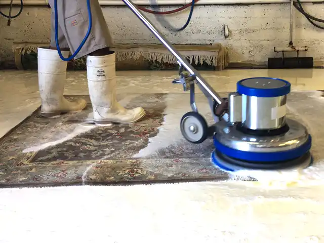 Oriental Rug Cleaning Process