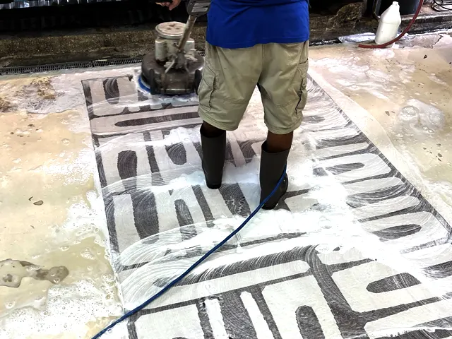 Pet Odor and Stain Removal Service Miami Pet Odor and Stain Removal Service Miami