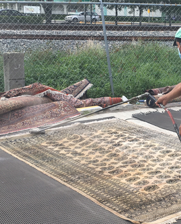 Rug Dusting Process