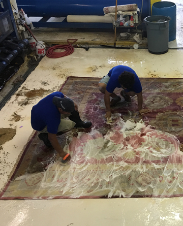 Rug Washing Process Miami