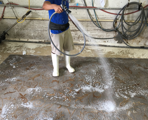 Oriental Rug Washing