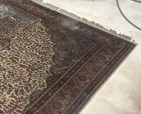 Oriental Rug Washing