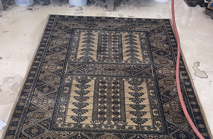 Area Rug Cleaning