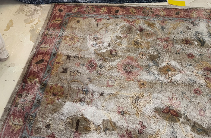 Indian Rug Cleaning