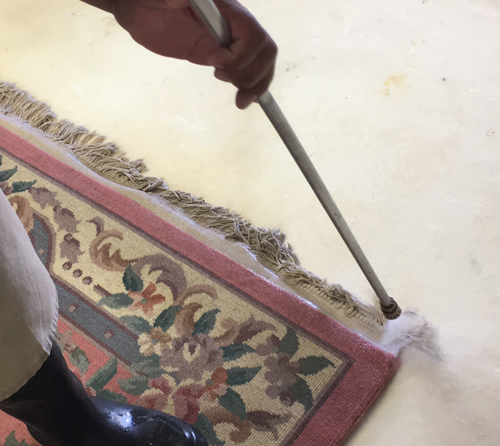 Persian Rug cleaner