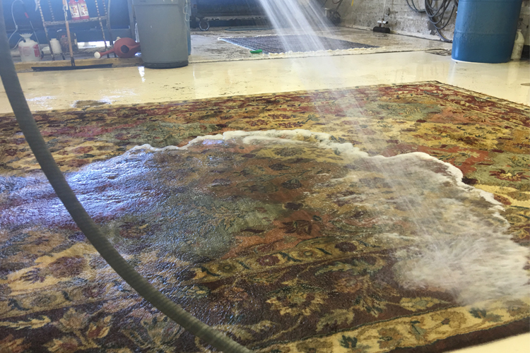 Persian Rug Cleaning