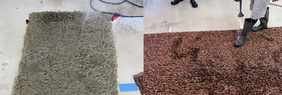 Wool Rug Cleaning